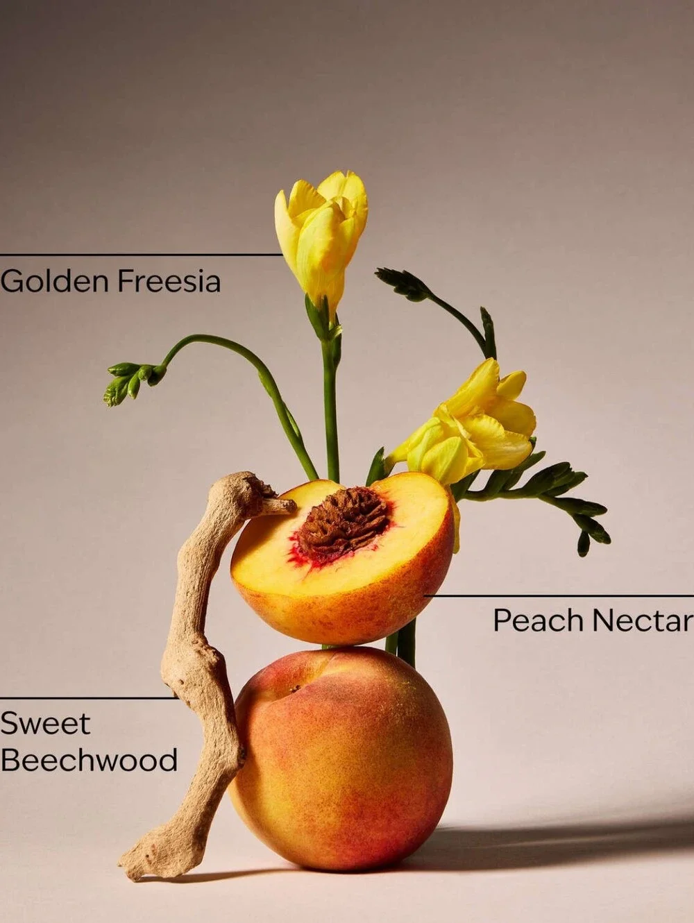 Peach Blossom & Nectar Body Lotion Bundle